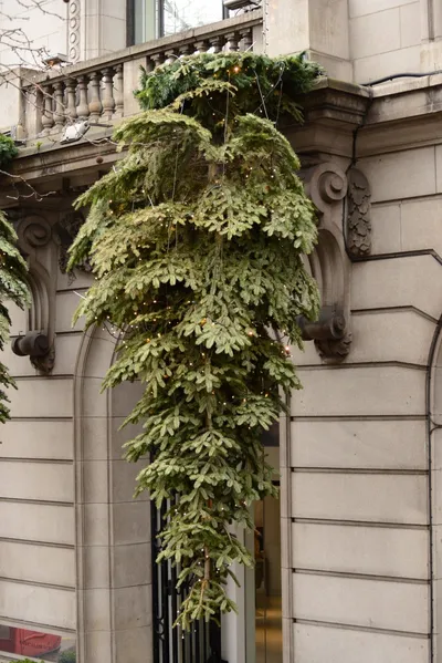 DSC_5831 (Large).JPG